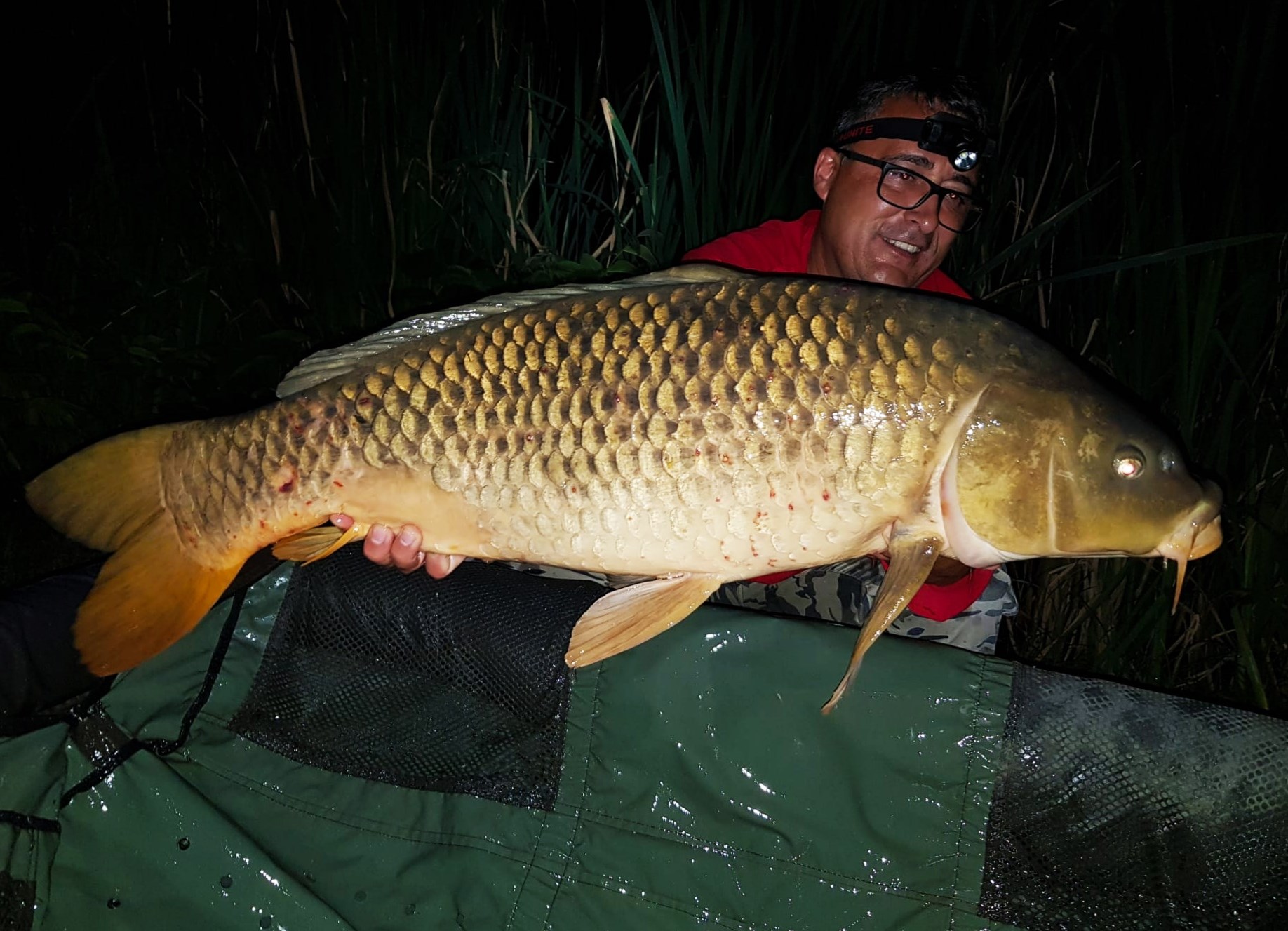 ISOLA DEL PESCATORE 17 - 18 iulie 2020 - IMG20200720004136.jpg